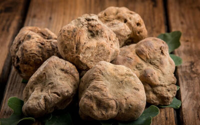 Ed’s Fine Wine White Truffle Festival