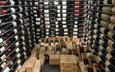 Vinitaly and Wine Tour 2025